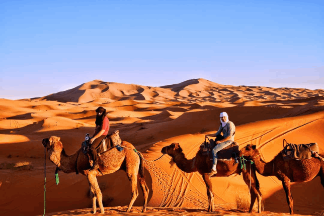 morocco desert tours