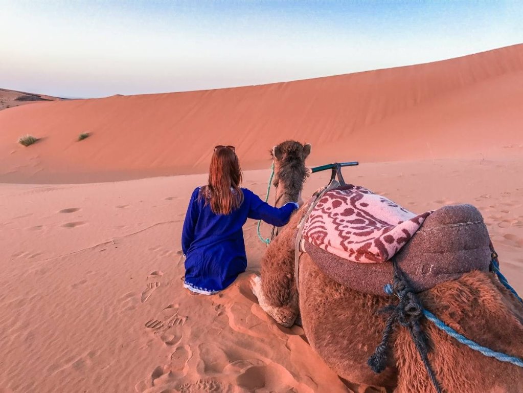 Best Morocco desert tours