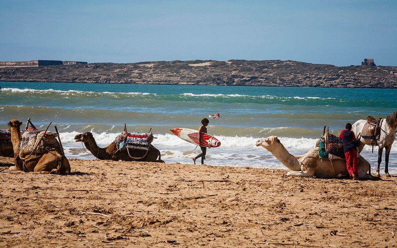 Essaouira Beach